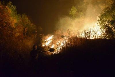 Пожары в Луганской области: правоохранители рассматривают четыре основных версии