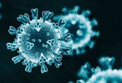 Подтверждена способность коронавируса проникать в мозг человека