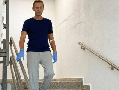 Дания поддерживает санкции ЕС против России за отравление Навального