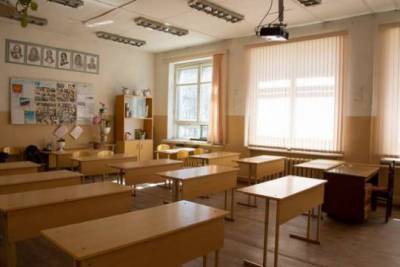 Попова назвала условие для перевода школьников на удалённое обучение