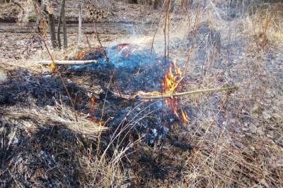 Зона пожароопасности в Тульской области увеличилась