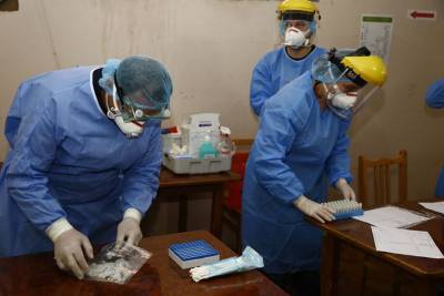 В Грузии за сутки выявлено 519 случаев заражения коронавирусом, шесть пациентов скончались