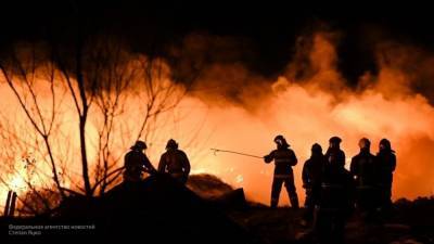 Площадь пожаров в зоне ЧП на складе под Рязанью составила 650 га