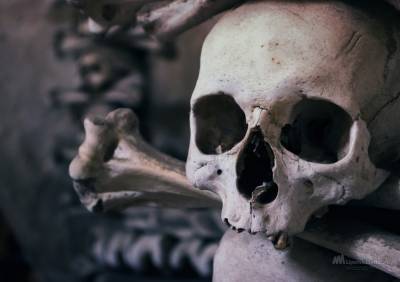 Труп женщины с проломленным черепом нашли под Липецком