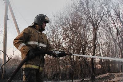 В Воронеже ночью сгорело 2 гектара Северного леса
