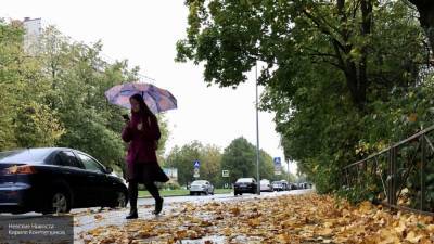 Дождливая и пасмурная погода ожидается в нескольких регионах РФ