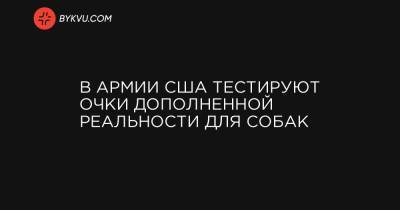 В армии США тестируют очки дополненной реальности для собак