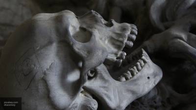 Человеческие кости нашли во время земельных работ в Москве