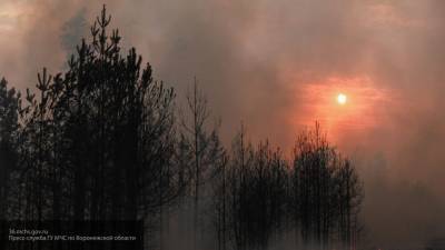 Спасатели ликвидировали пожары в Рязанской области