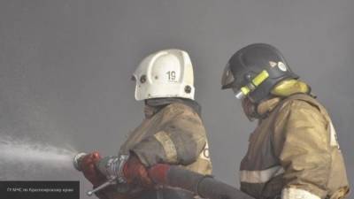 Пожары в Рязанской области полностью ликвидированы