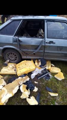 В сыктывдинской деревне медведь атаковал автомобиль