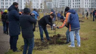 Жители столицы высадят свои фамильные деревья