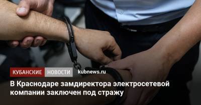 В Краснодаре замдиректора электросетевой компании заключен под стражу
