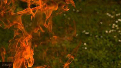 Сотрудники МЧС ликвидировали пожар в воронежском парке