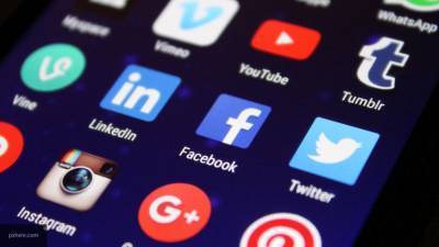 Политолог призвал не церемониться с "наглыми мордами" Facebook и Twitter