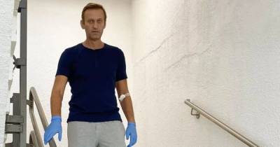Чай с европейскими плюшками. Почему отравление Навального не будет расследовано