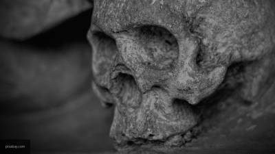 Труп селянки с проломленным черепом найден под Липецком