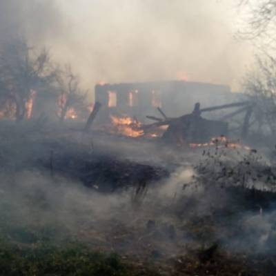 Огонь от природного пожара перешел на два населенных пунктах в Мордовии