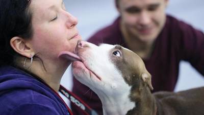 Зоопсихолог назвала способы налаживания контакта с собакой