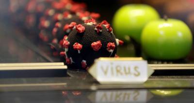 Малина и шоколадная глазурь: посмотрите, как выглядит пирожное в виде коронавируса