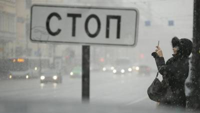В Росгидромете предсказали первый снег в Петербурге в ноябре
