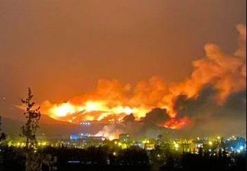 В Сирии и Турции вспыхнули масштабные лесные пожары