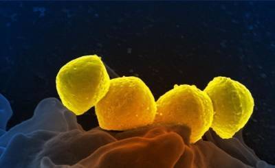 Скарлатина эволюционировала: ученые предупреждают о возвращении патогена (El Confidencial, Испания)