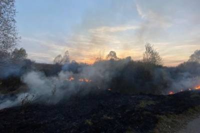 В МЧС сообщили о ликвидации пожара в Мордовии, повредившего 16 домов
