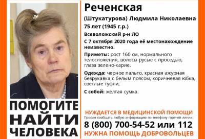 Во Всеволожском районе ищут 75-летнюю пенсионерку с желтой сумкой