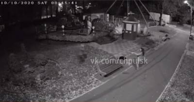 В ульяновском парке Победы ночью украли деревья