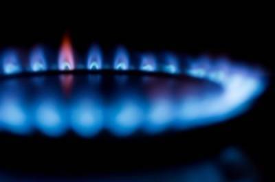 ФАС разработала меры для стабилизации цен на газ в баллонах