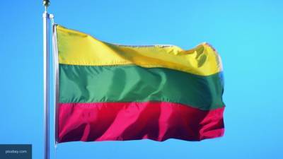 Голосование на выборах в парламент стартовало в Литве
