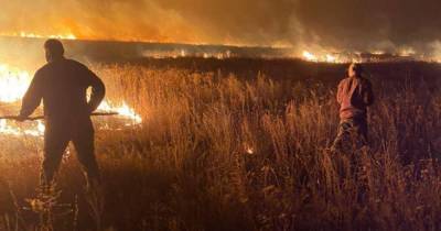 На востоке Украины объявлен чрезвычайный уровень пожарной опасности: что нельзя делать