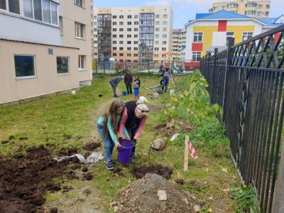 У южно-сахалинского детсада "Радуга" посадили барбарис, снежноягодник и сирень