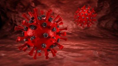 Специалист по особо опасным инфекциям оценил тесты на антитела