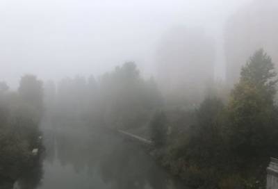 Завораживающее зрелище: на Петербург и Ленобласть утром опустился густой туман
