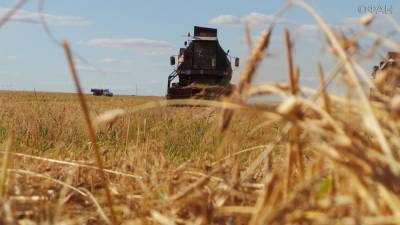 Мишустин назвал Россию одним из лидеров мирового продовольственного рынка