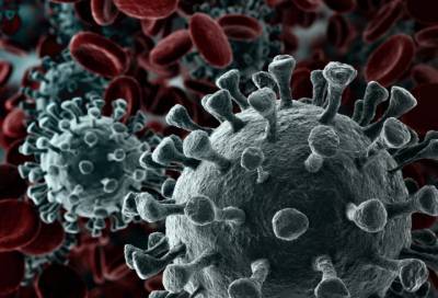 Вирусолог предположил, когда Россия выйдет на пик заболеваемости коронавирусом