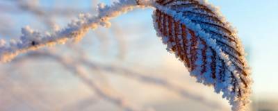 Синоптики прогнозируют в России 15-градусные морозы