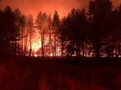 В Саратовской области загорелся лес на площади 50 гектаров