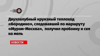Двухпалубный круизный теплоход «Бородино», следовавший по маршруту «Муром-Москва», получил пробоину и сел на мель