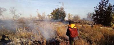 В Саратовской области продолжают тушить пожары