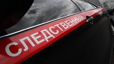 СК Петербурга возбудил дело после нападения школьника на мать