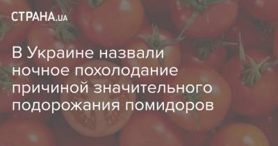 В Украине назвали ночное похолодание причиной значительного подорожания помидоров