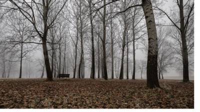 В МЧС Ленобласти вновь предупредили о тумане и низкой видимости на дорогах