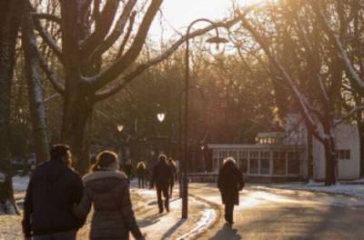 Бабье лето в декабре: синоптики удивили прогнозом на зиму в Украине