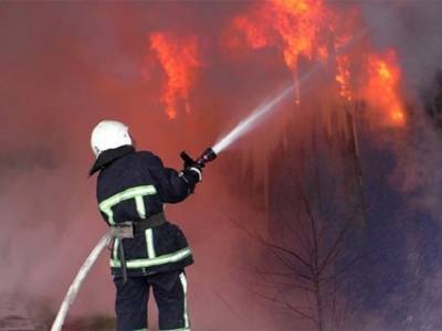 В Украине объявлен чрезвычайный уровень пожарной опасности - ГСЧС