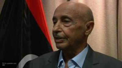 Агила Салех обсудил с делегациями племен Ливии возвращение к мирной жизни