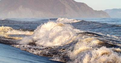 Ученые готовы разобраться в природе "красных приливов" на Камчатке