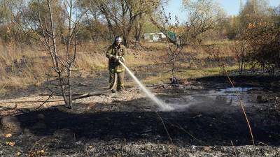 Высокая пожароопасность прогнозируется в некоторых регионах РФ